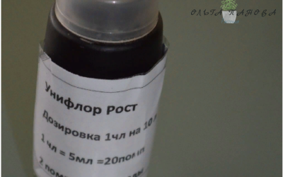 Как легко дозировать жидкое удобрение для комнатных растений?